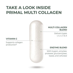 Collagen sources: chicken, fish, and eggshell membrane