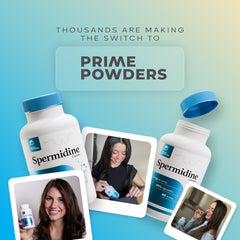 Quality-assessed batch of Prime Powders Spermidine capsules for consistent daily dosing