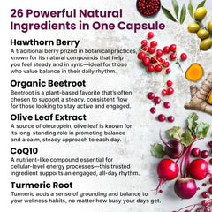 PrimeMD 26in1 ingredients chart shows CoQ10 and beet root