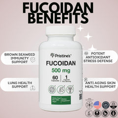 Ingredients panel for PRISTINE'S Fucoidan 500MG