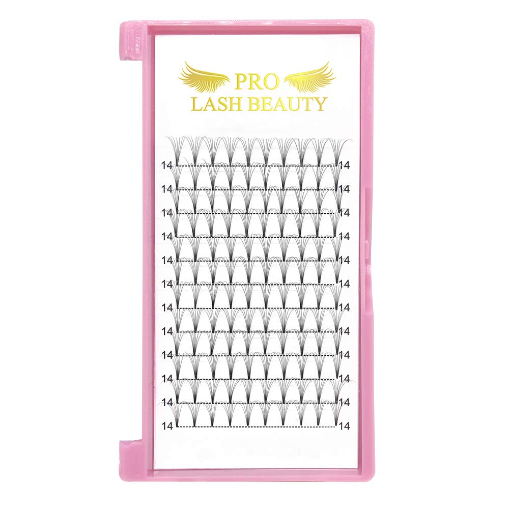 PRO LASHBEAUTY premade fans vegan soft lashes light on the eye.