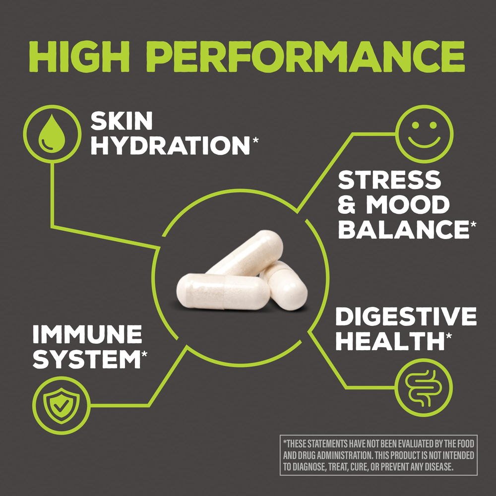 Illustration of mood support probiotic strain L. paracasei Lpc-37
