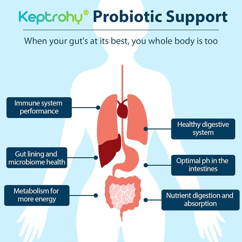 Shelf-stable probiotic capsules ready for daily use
