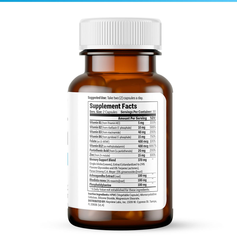 Infographic of brain support ingredients
