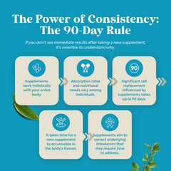 Graphic highlighting memory and focus benefits