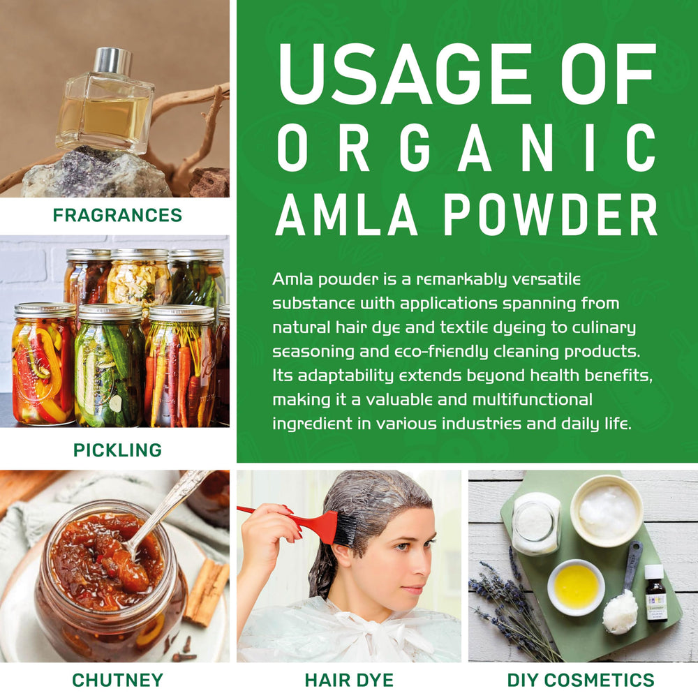 Product of India – Jiva Organics amla powder