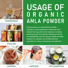 Product of India – Jiva Organics amla powder