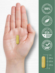Product scene showing Carlyle Goldenseal 1000mg 200-count bottle