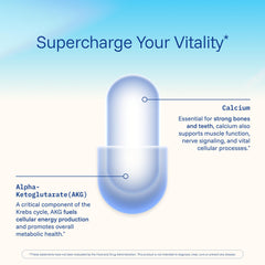 Capsules arranged on a white background