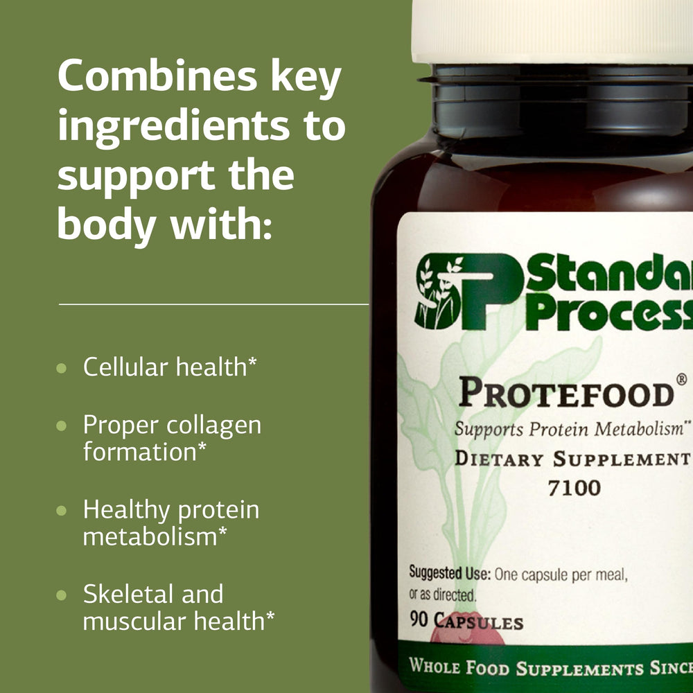 Lysine and choline in Protefood for methylation factors