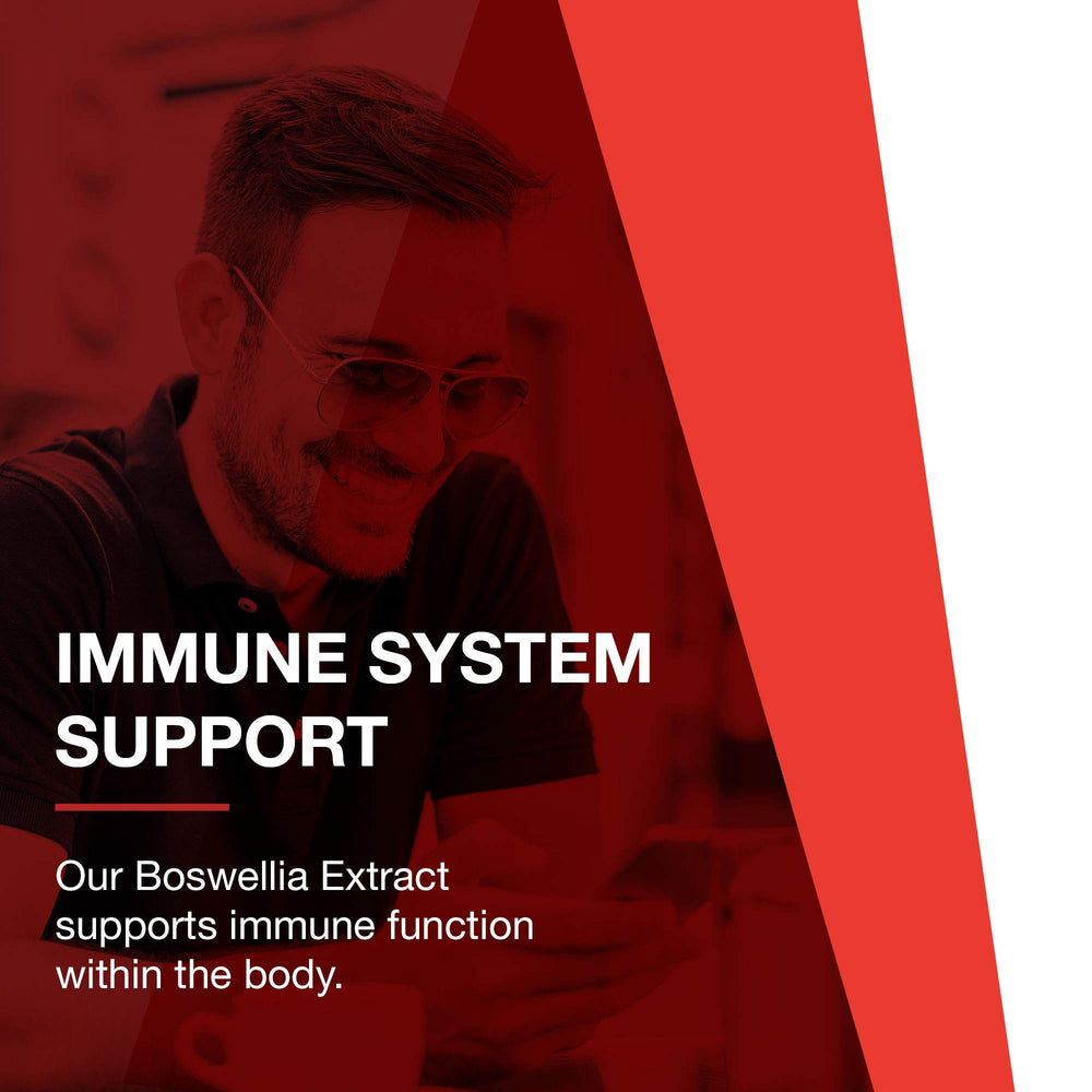 Supplement facts panel for Protocol Boswellia Extract