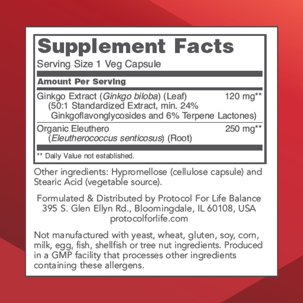 Brain health illustration with Ginkgo Biloba 120 mg