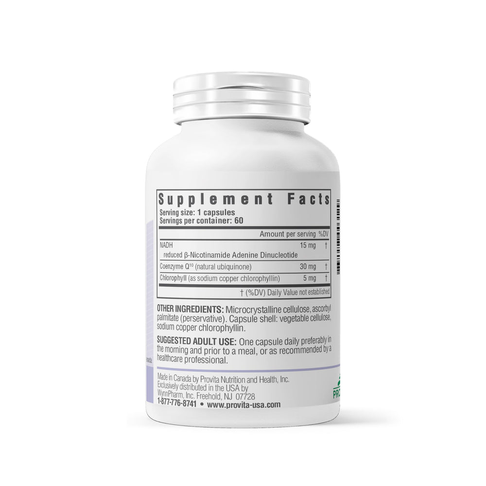 Energy, focus, and brain health concept illustration