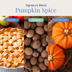 Diffuser-ready Pumpkin Spice Aroma Oil for cold-air diffusers