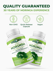 Certified Organic Moringa leaves used to make capsules.