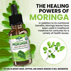 Close-up of Moringa Oil droplets