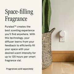 Close-up of fragrance vial being inserted into diffuser