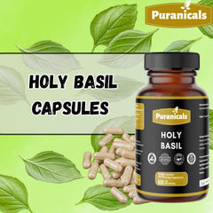 Holy Basil leaf powder capsules close-up