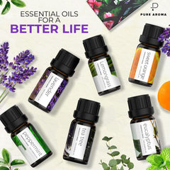 Gift-ready packaging of Pure Aroma essential oils set in an elegant box
