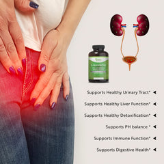 Graphic image highlighting D-Mannose, Cranberry, and Dandelion Extract ingredients