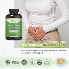 Illustration representing urinary tract health and bladder wellness support