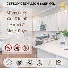 Cinnamon oil aroma used in diffusers and culinary dishes
