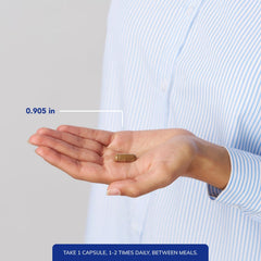 Pure Encapsulations Coriolus Extract capsules arranged for daily routine for convenient immune-support supplementation.