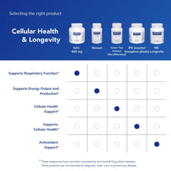 360 capsules bottle of NAC 600 mg for lung health and antioxidant support