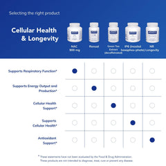 Back label shows ingredients and safety notes for NAC 900 mg.