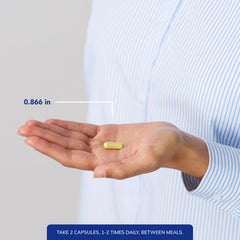 Pure Encapsulations Quercetin 500mg bottle back label shows ingredients.