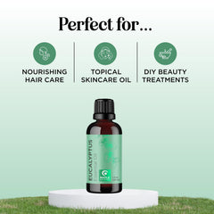 Eucalyptus essential oil drops for aromatherapy diffuser