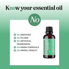 Shower steam with eucalyptus essential oil aroma