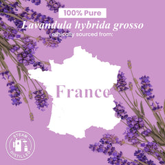 Close-up view of pure lavender essential oil
