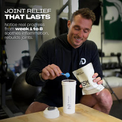 MSM ingredients and organic sulfur highlight
