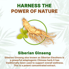 Pure natural Eleuthero powder with no fillers