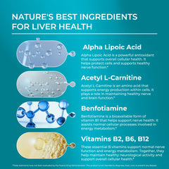 Nerve Regen bottle label detail from PureHealth Research.