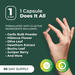 Daily dosage capsule for blood pressure and circulation support