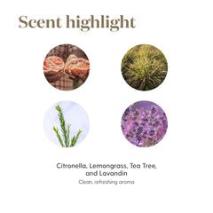 Packaging of Purification Essential Oil 5ml by Young Living