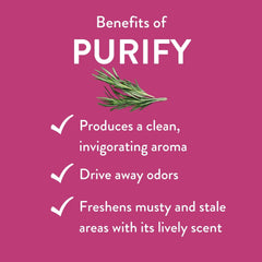Diffuser releasing Purify essential oil scent