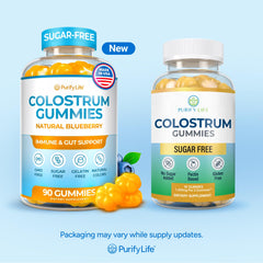 Graphic representing gut health and digestive wellness