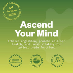 Purisure Acetyl L-Carnitine packaging