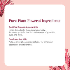 Purity verification and solvent-free extraction details