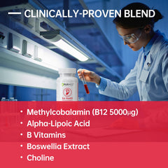 German quality assurance and GMP facilities illustration