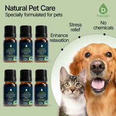 PURSONIC Cedarwood essential oil bottle