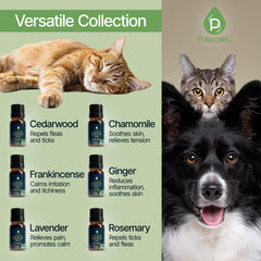 PURSONIC Chamomile essential oil bottle