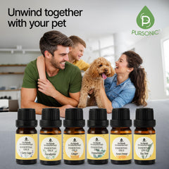 Pursonic 6-piece gift box and recyclable packaging