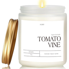 Putart Tomato Vine Candle – 9oz frosted jar with gold lid