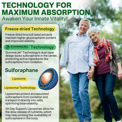 Illustration of quercetin, glutathione, and sulforaphane blend