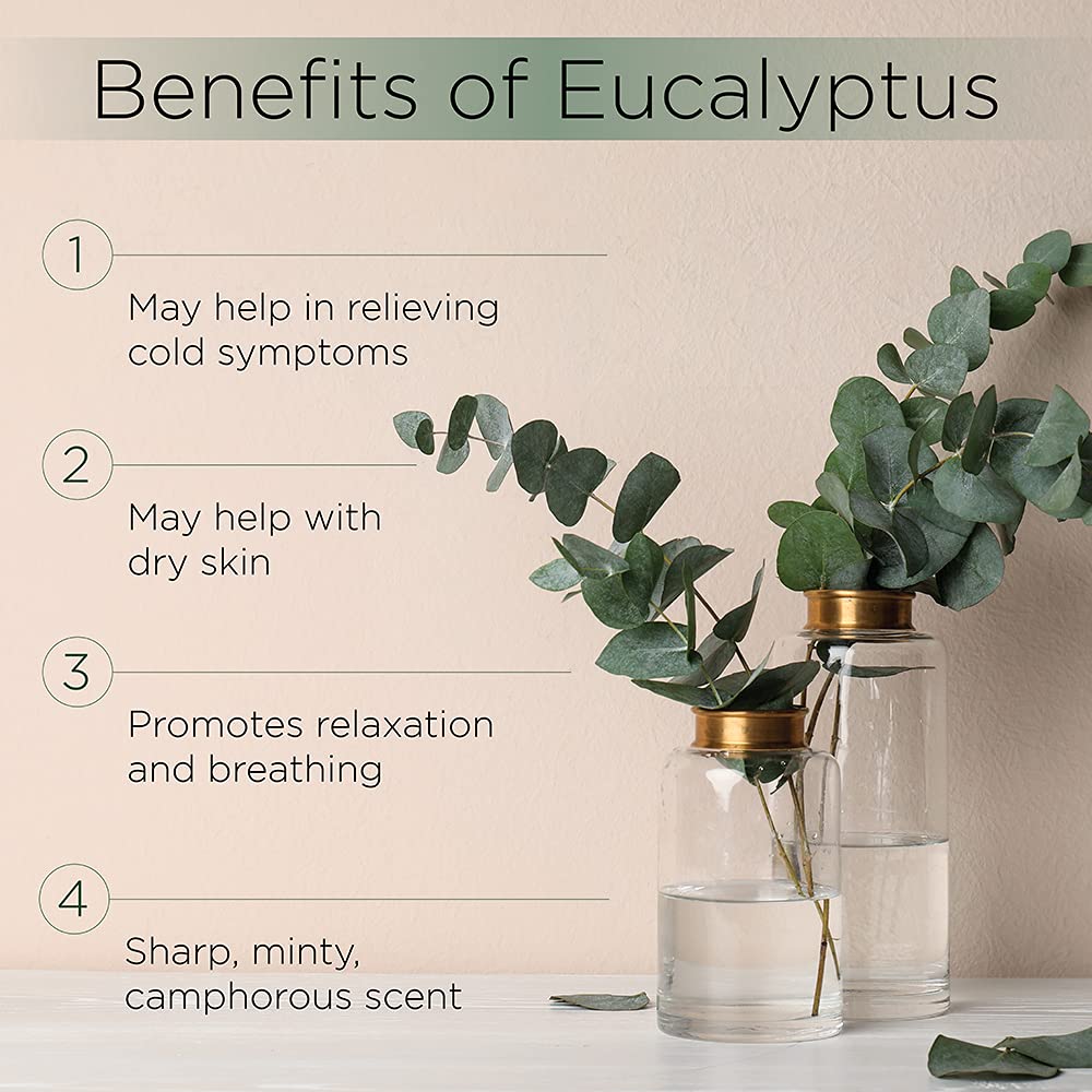 Eucalyptus oil bottle with premium glass dropper