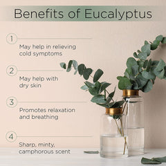 Eucalyptus oil bottle with premium glass dropper